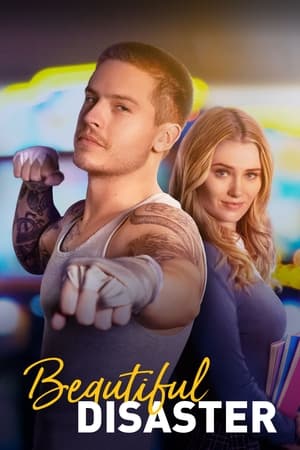 Beautiful Disaster 2023 Hindi Dual Audio HDRip 720p – 480p - Movierulz